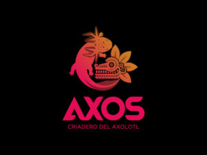 Logos Pyx 2021-88